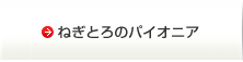 ねぎとろのパイオニア