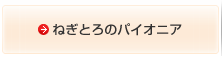 ねぎとろのパイオニア